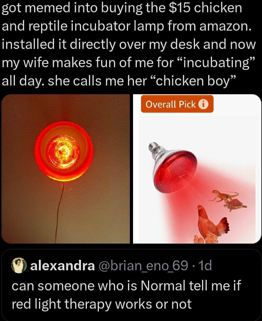 got memed into buying the 15 chicken and reptile incubator lamp from amazon installed it directly over my desk and now my wife makes fun of me for incubating all day she calls me her chicken boy alexandra brian_eno 69 1d can someone who is Normal tell me if red light therapy works or not