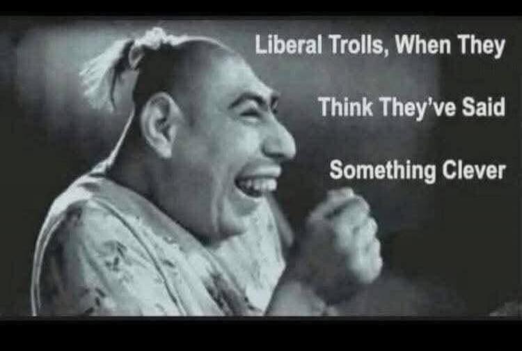 Liberal Trolls, When They Think They've Said Something Clever