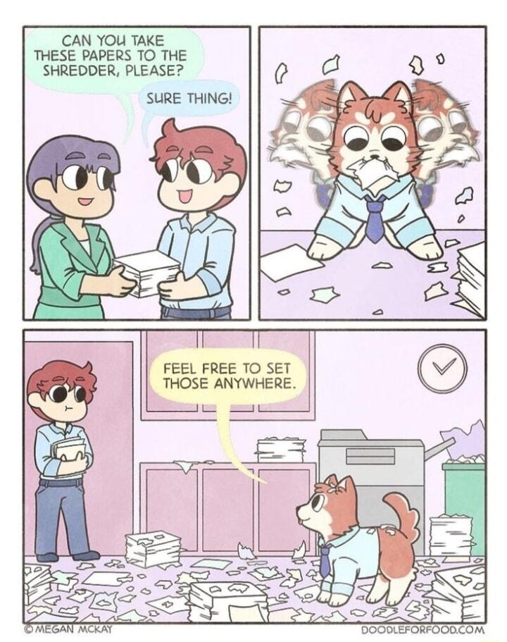 T Il FEEL FREE TO SET THOSE ANYWHERE CAN YOU TAKE THESE PAPERS TO THE SHREDDER PLEASE