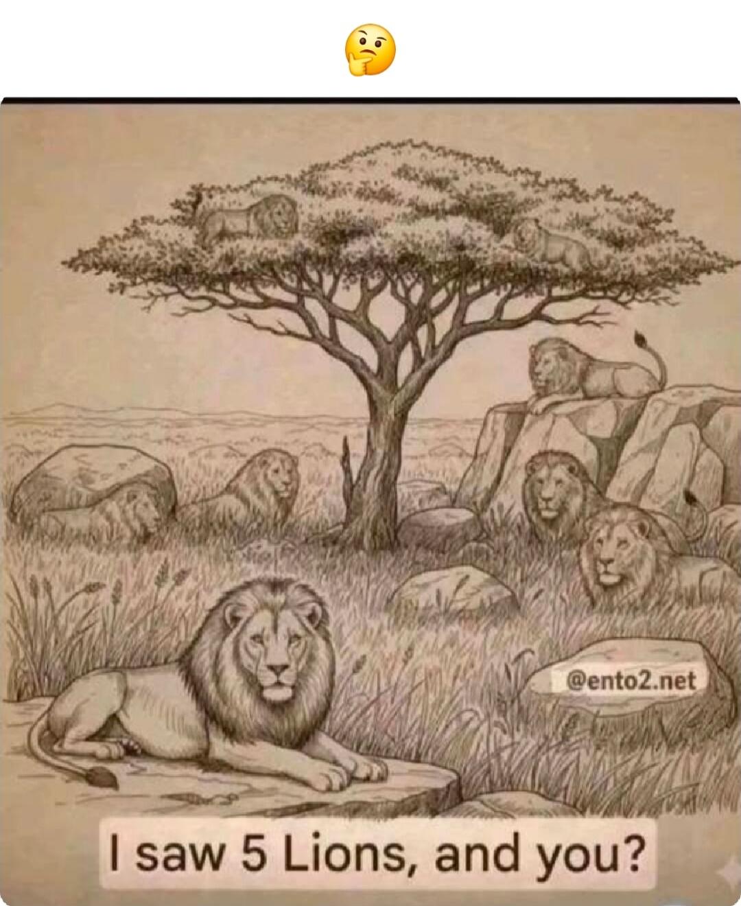 I saw 5 Lions, and you?