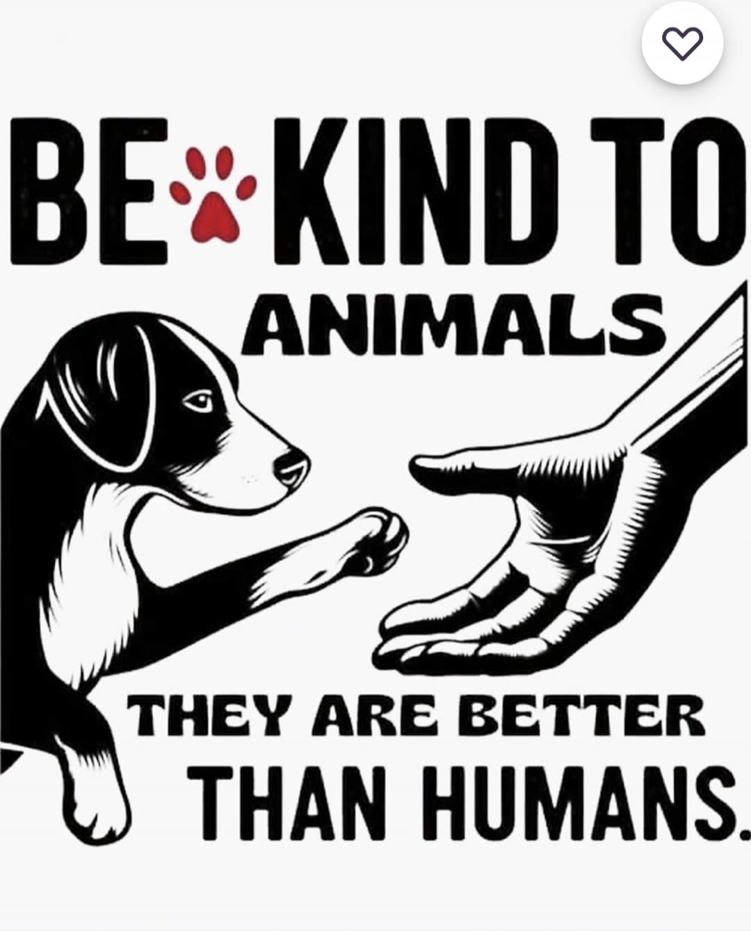 BE KIND TO ANIMALS THEY ARE BETTER THAN HUMANS.
