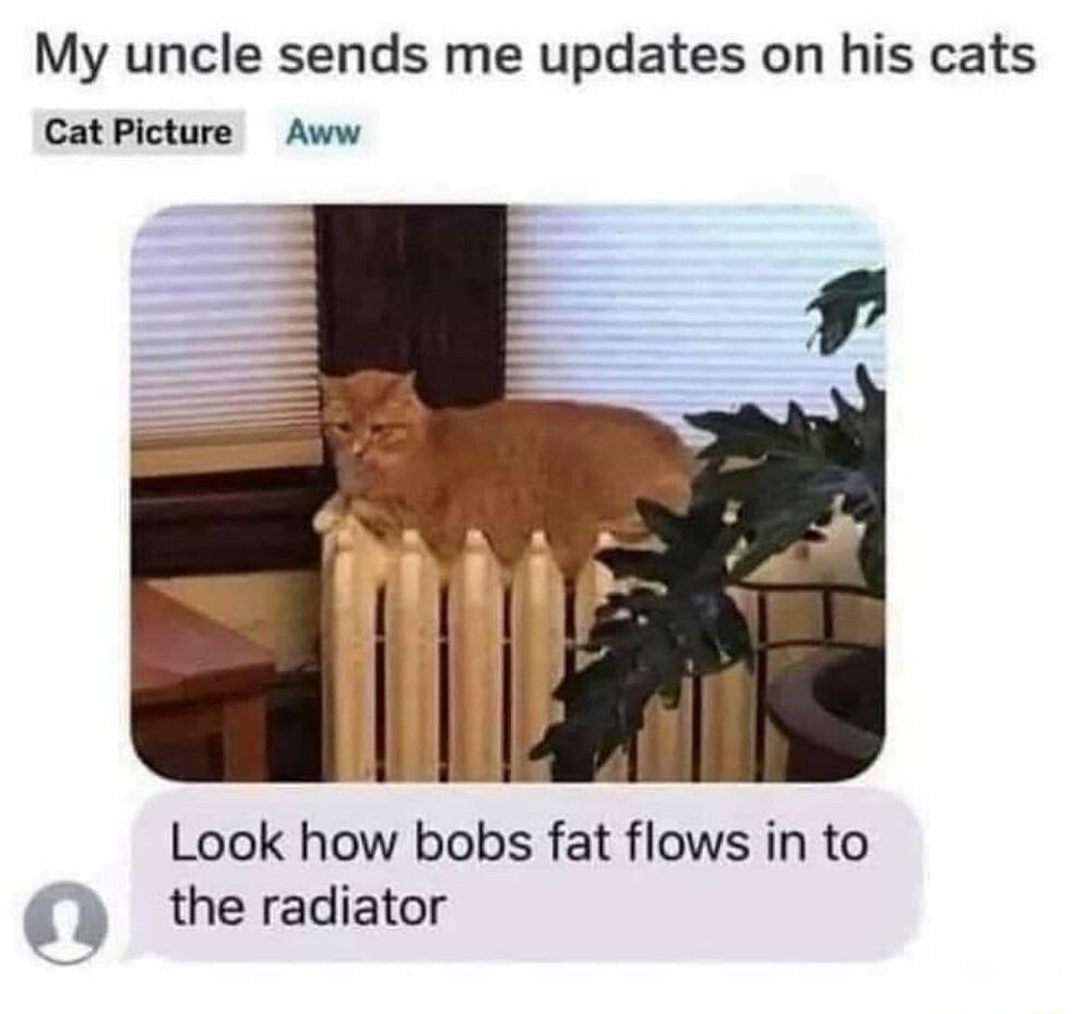 My uncle sends me updates on his cats Cat Picture Aww Look how bobs fat flows in to 0 the radiator