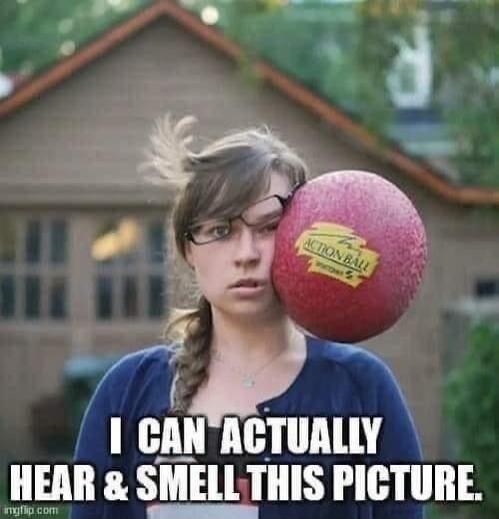 I CAN ACTUALLY HEAR & SMELL THIS PICTURE.