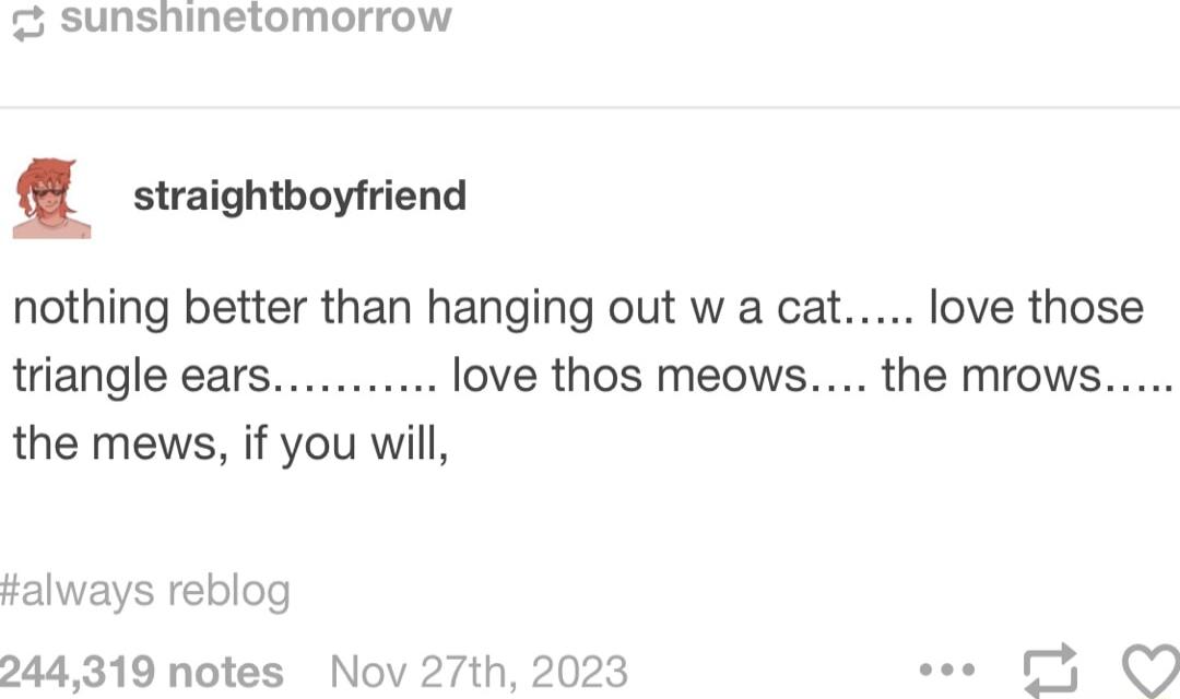 2 sunshinetomorrow 1 straightboyfriend nothing better than hanging out w a cat love those triangle ears love thos meows the mrows the mews if you will salways reblog 244319 notes Nov 274