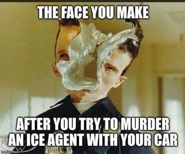 THE FACE YOU MAKE AFTER YOU TRY TO MURDER AN ICE AGENT WITH YOUR CAR