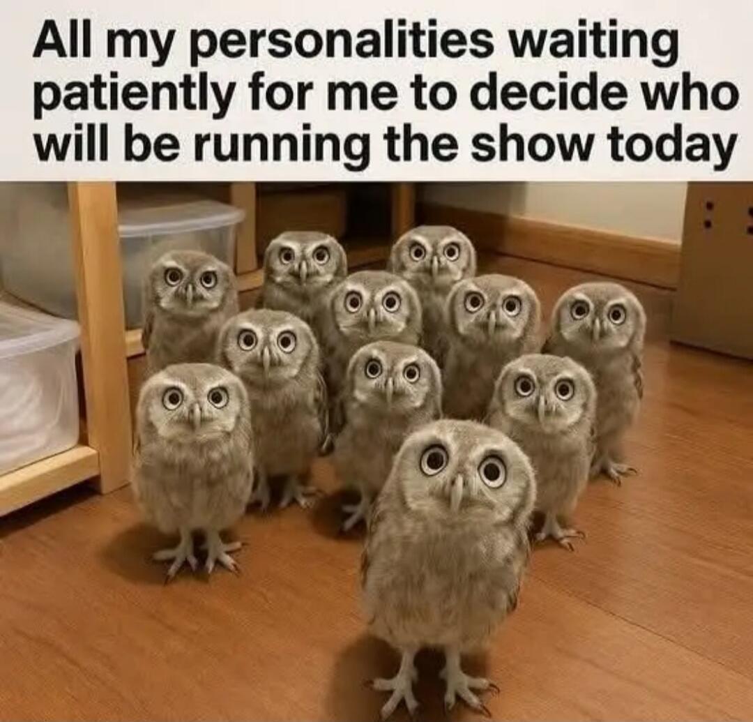 All my personalities waiting patiently for me to decide who will be running the show today