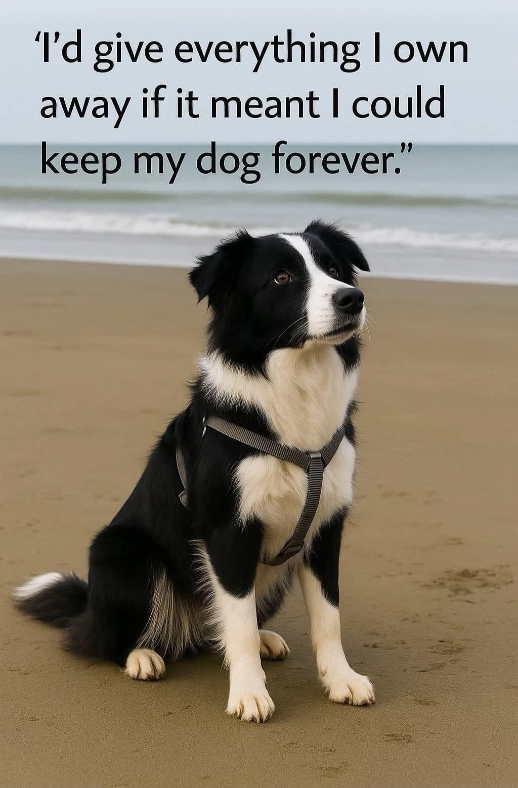 I'd give everything I own away if it meant I could keep my dog forever.
