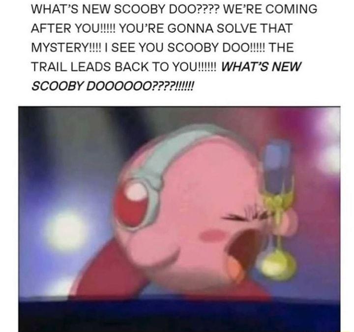 WHATS NEW SCOOBY DOO WERE COMING AFTER YOU YOURE GONNA SOLVE THAT MYSTERY SEE YOU SCOOBY DOO THE TRAIL LEADS BACK TO YOU WHATS NEW SCO0BY DOOOOOO