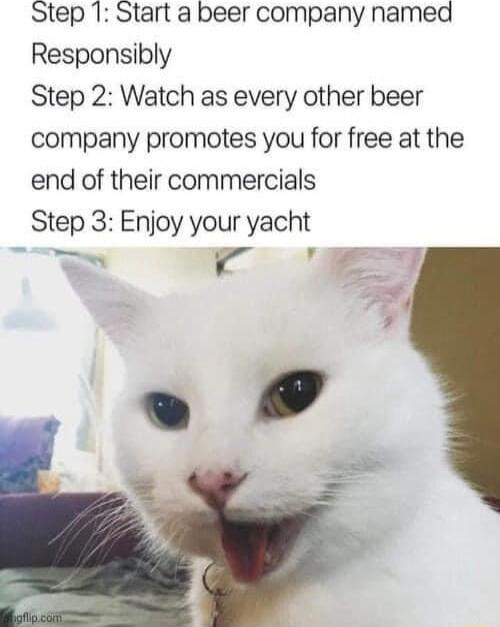 Step 1 Start a beer company named Responsibly Step 2 Watch as every other beer company promotes you for free at the end of their commercials Step 3 Enjoy your yacht r BE