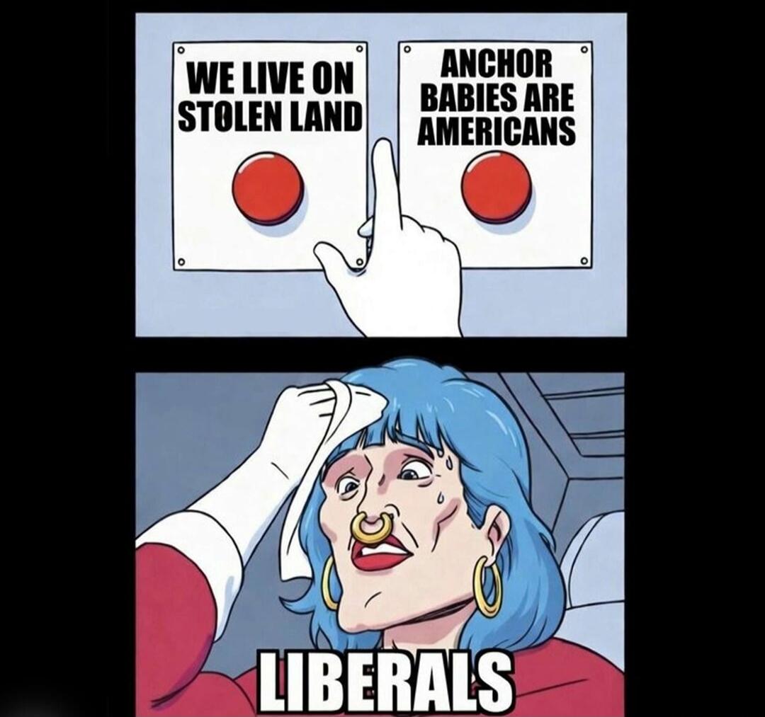 WE LIVE ON STOLEN LAND ANCHOR BABIES ARE AMERICANS LIBERALS