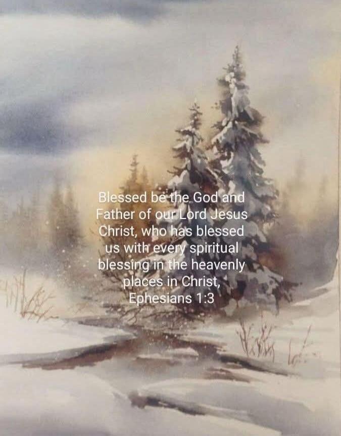 Blessed be the God and Father of our Lord Jesus Christ, who has blessed us with every spiritual blessing in the heavenly places in Christ. Ephesians 1:3
