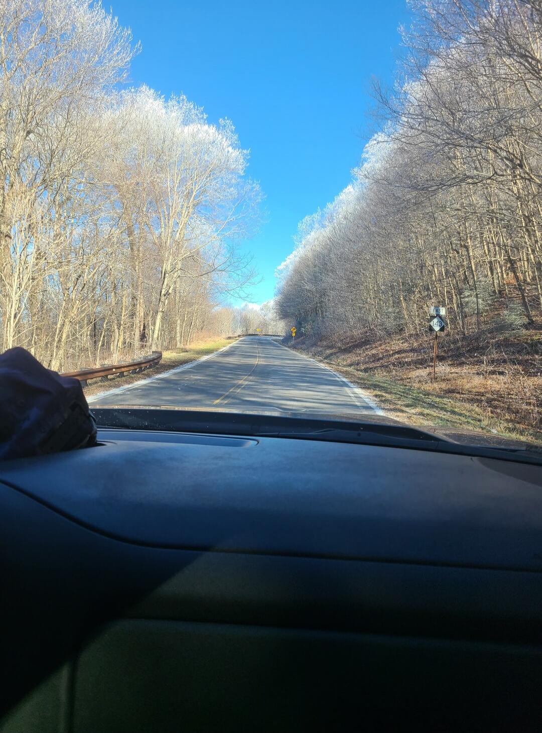 The road ahead is clear, with trees lining both sides. The sky is a vibrant blue, and the trees are bare, suggesting a cold season. There's a signpost on the right side of the road.