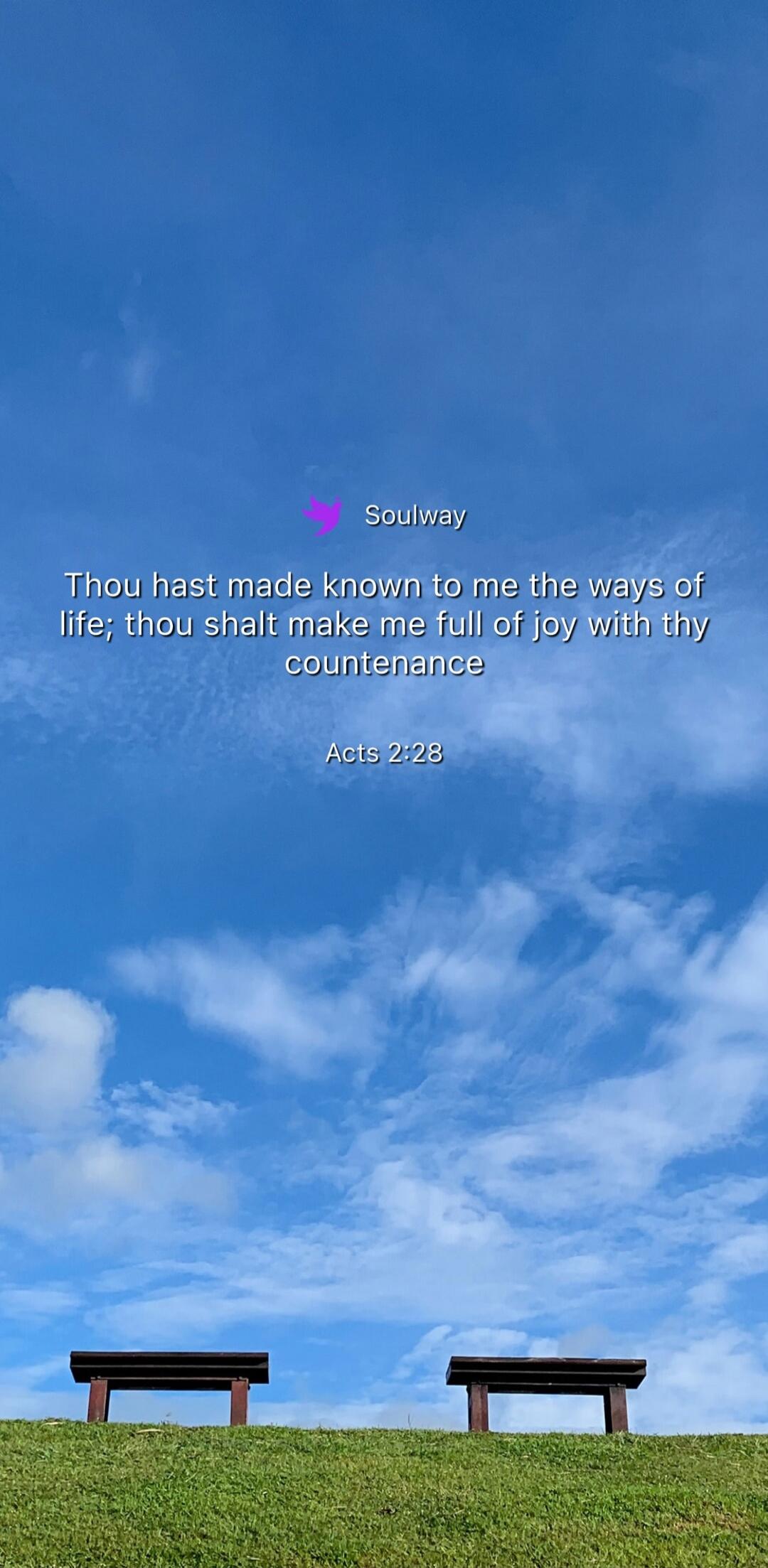 Soulway. Thou hast made known to me the ways of life; thou shalt make me full of joy with thy countenance. Acts 2:28