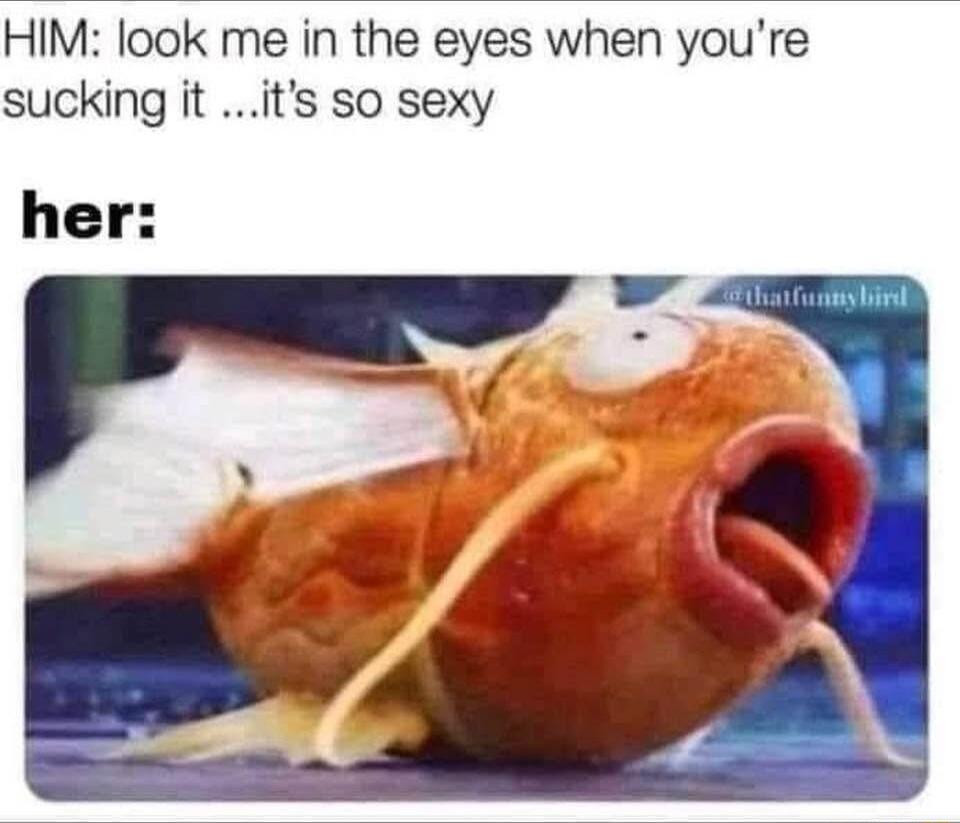 HIM look me in the eyes when youre sucking it its so sexy