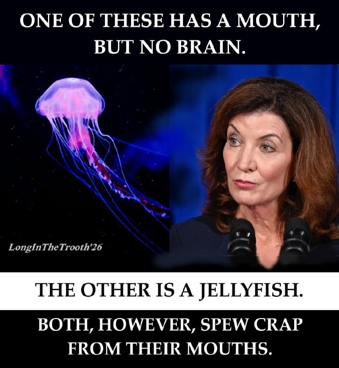 ONE OF THESE HAS A MOUTH, BUT NO BRAIN. THE OTHER IS A JELLYFISH. BOTH, HOWEVER, SPEW CRAP FROM THEIR MOUTHS. LongInTheTrooth'26