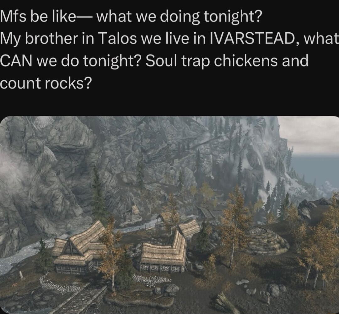 Mfs be like what we doing tonight My brother in Talos we live in IVARSTEAD what AN we do tonight Soul trap chickens and ount rocks