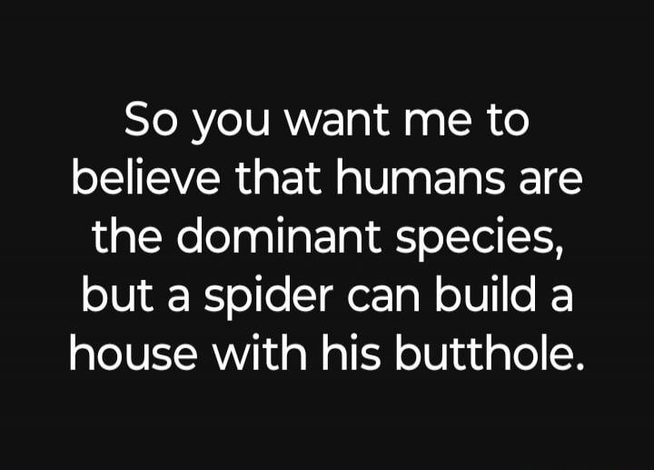 So you want me to believe that humans are the dominant species, but a spider can build a house with his butthole.