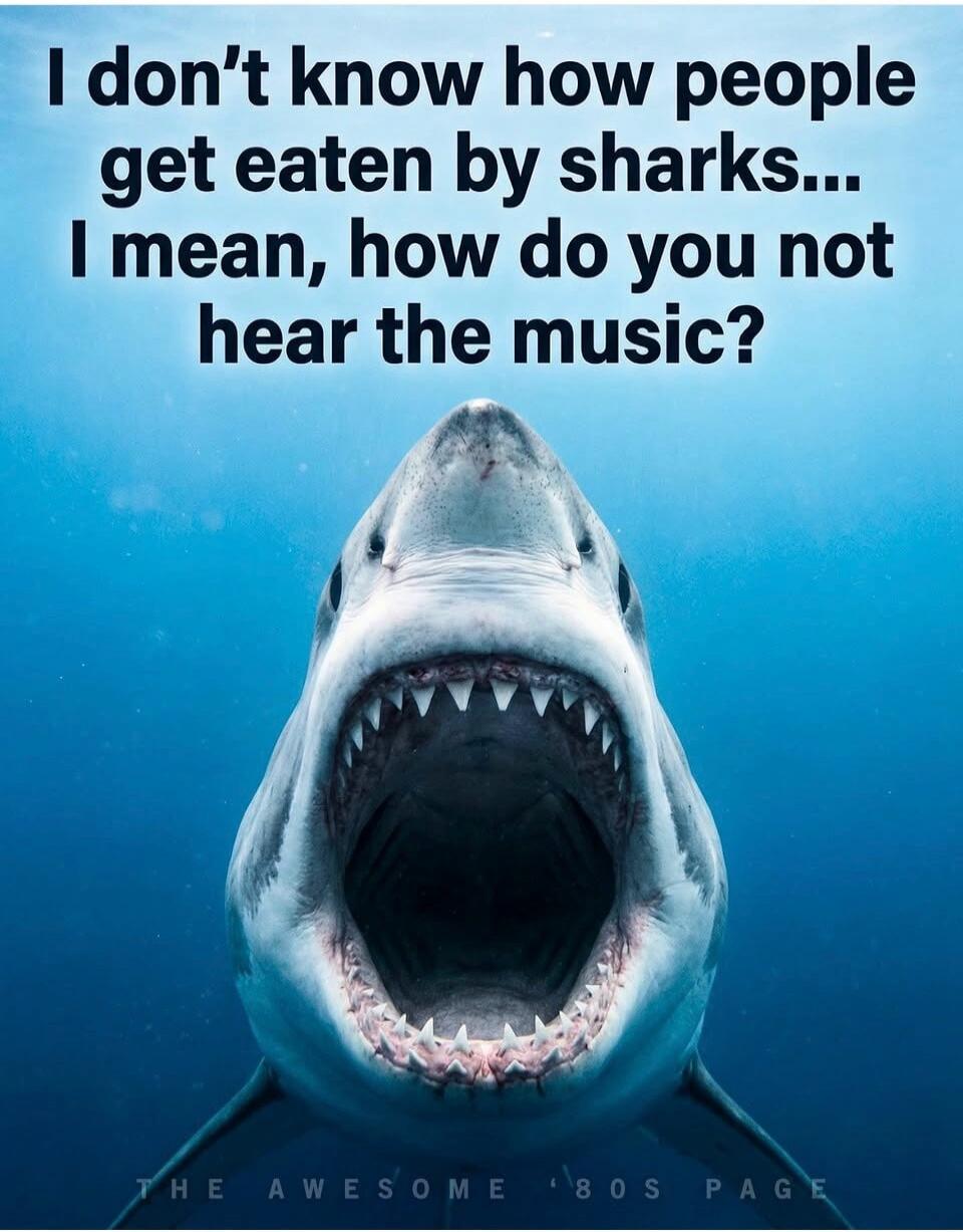 I don't know how people get eaten by sharks... I mean, how do you not hear the music? THE AWESOME '80S PAGE