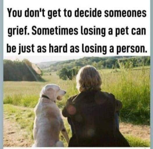 You don't get to decide someone's grief. Sometimes losing a pet can be just as hard as losing a person.