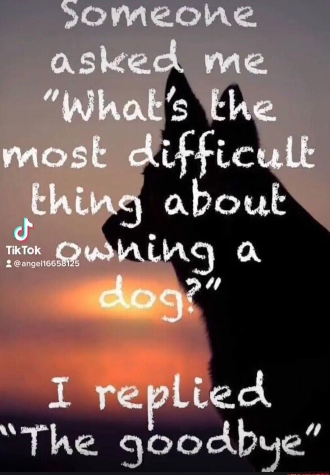 Someone asked me 'What's the most difficult thing about owning a dog?' I replied 'The goodbye'