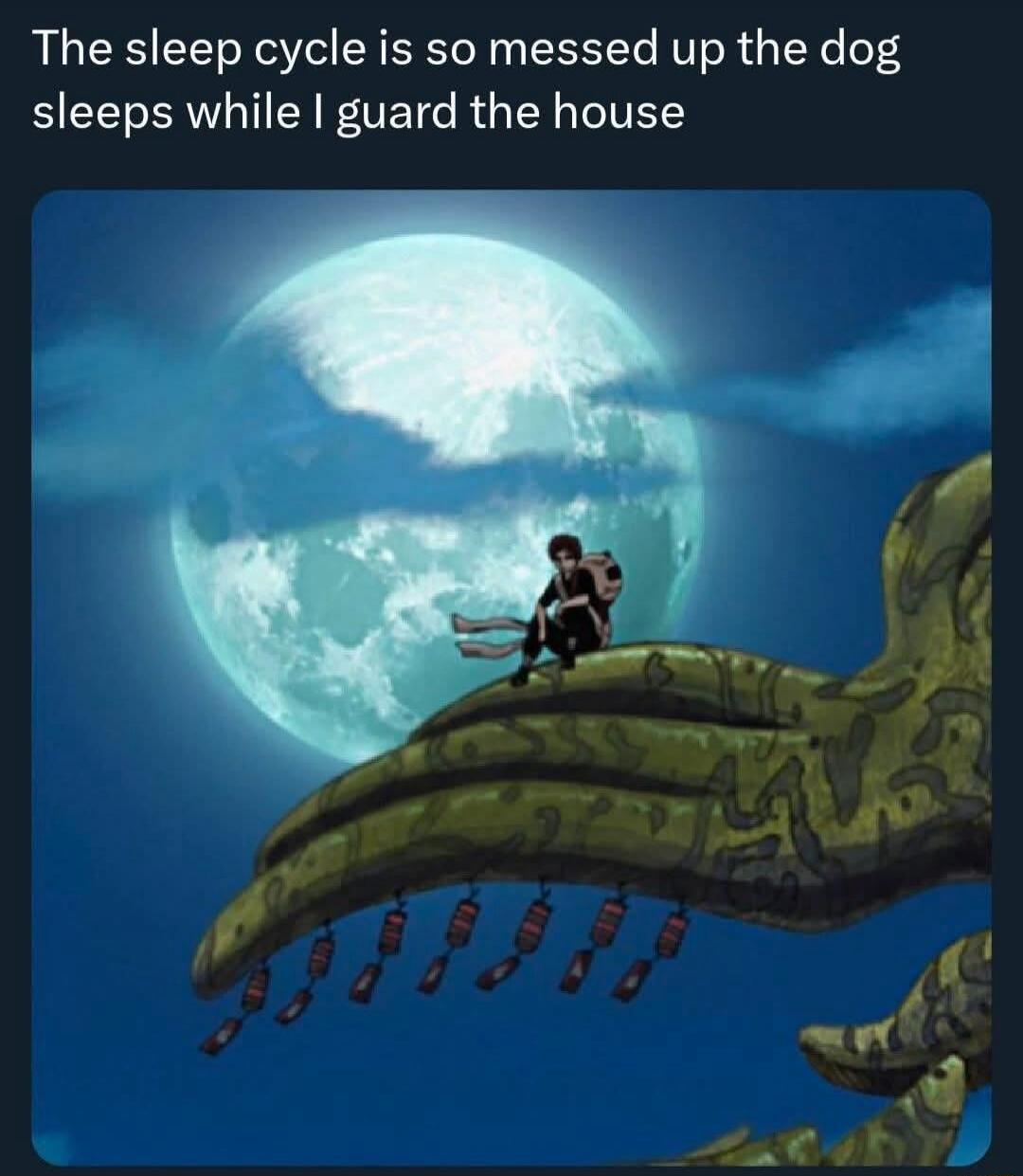 The sleep cycle is so messed up the dog sleeps while I guard the house