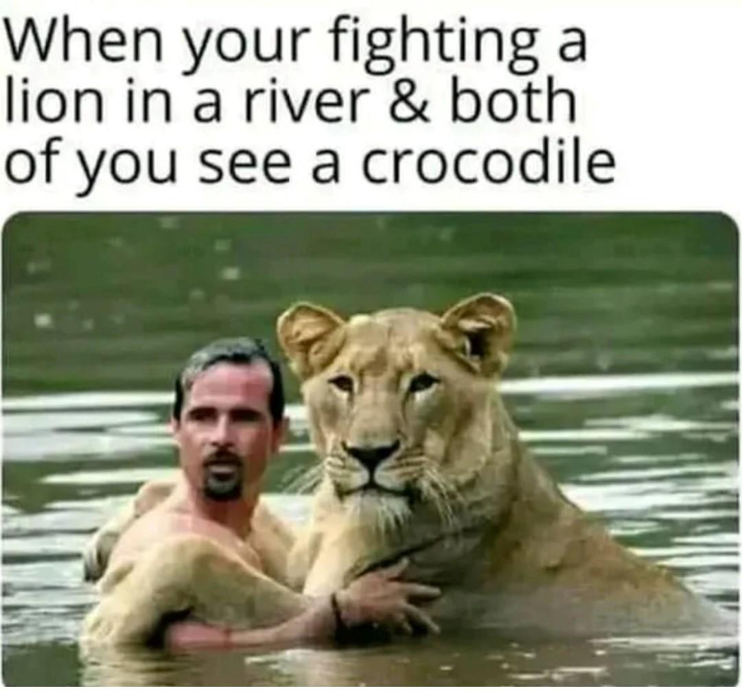 When your fighting a lion in a river both of you see a crocodile