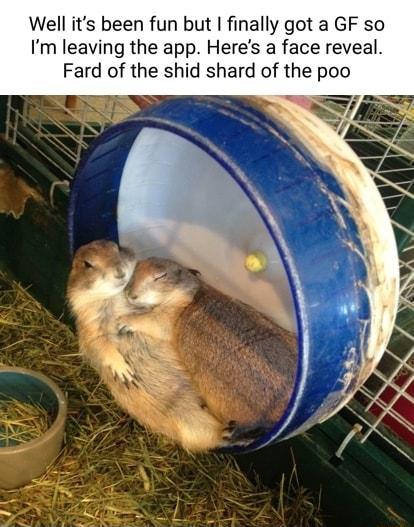 Well its been fun but finally got a GF so Im leaving the app Heres a face reveal Fard of the shid shard of the poo