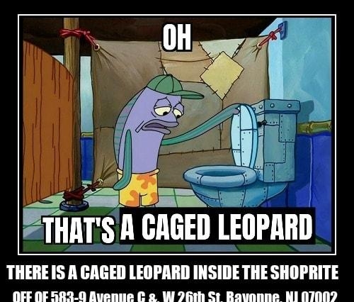 et THEREIS A CAGED LEOPARD INSIDE THE SHOPRITE OFF OF 582 0 Bvenue C 2 W 26th St Ravanne NI NI0R2