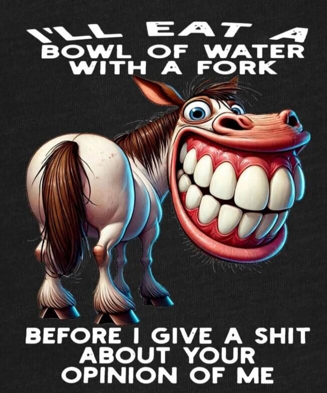 I'LL EAT A BOWL OF WATER WITH A FORK BEFORE I GIVE A SHIT ABOUT YOUR OPINION OF ME