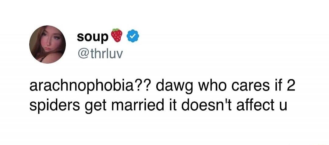 soup @thrluv arachnophobia?? dawg who cares if 2 spiders get married it doesn't affect u