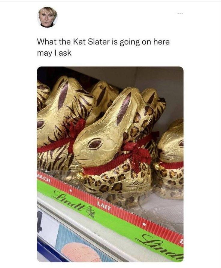 What the Kat Slater is going on here may ask