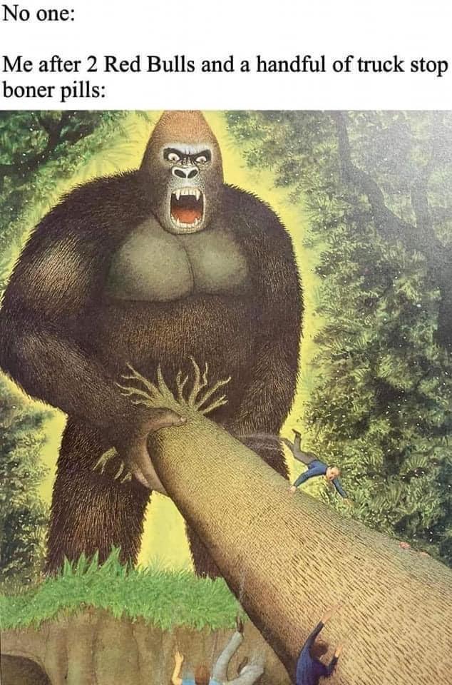 No one Me after 2 Red Bulls and a handful of truck stop boner pills