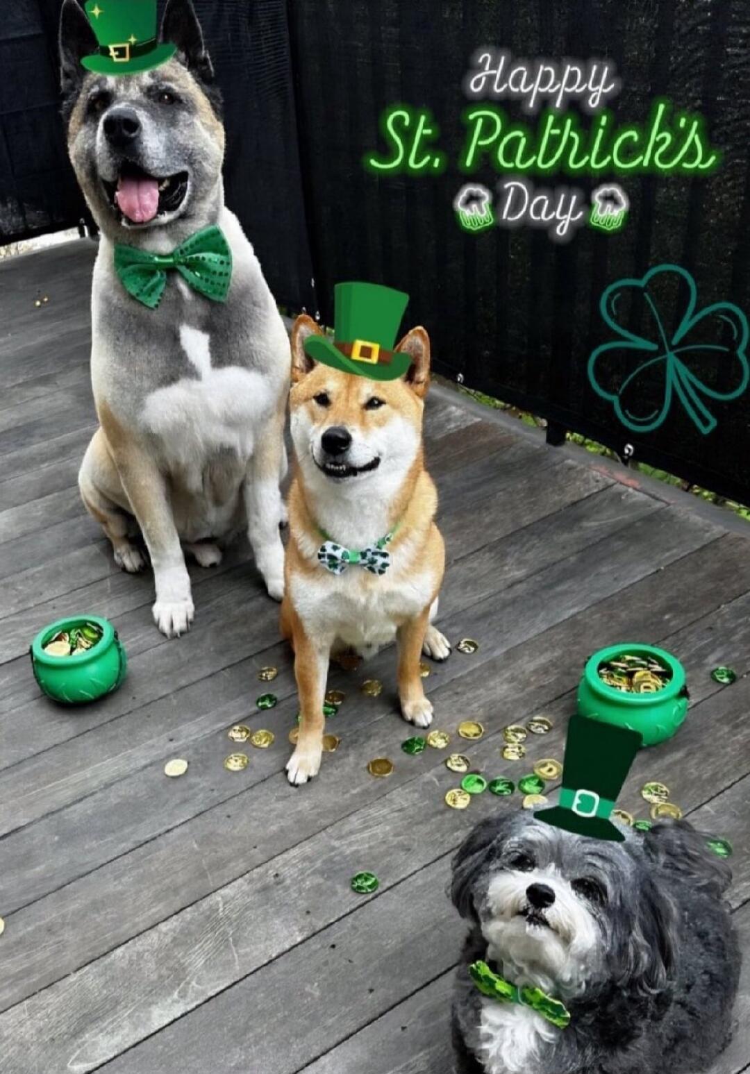 Happy St. Patrick's Day