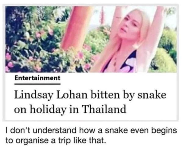 Entertainment Lindsay Lohan bitten by snake on holiday in Thailand dont understand how a snake even begins to organise a trip like that