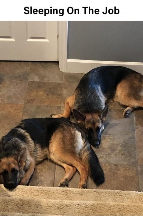Sleeping On The Job