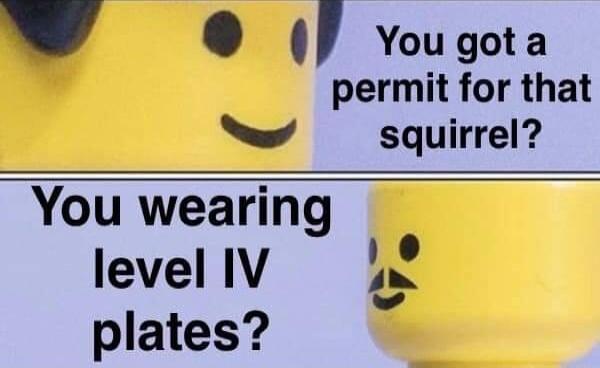 8 0 You gota permit for that S squirrel You wearing level IV L2 L plates