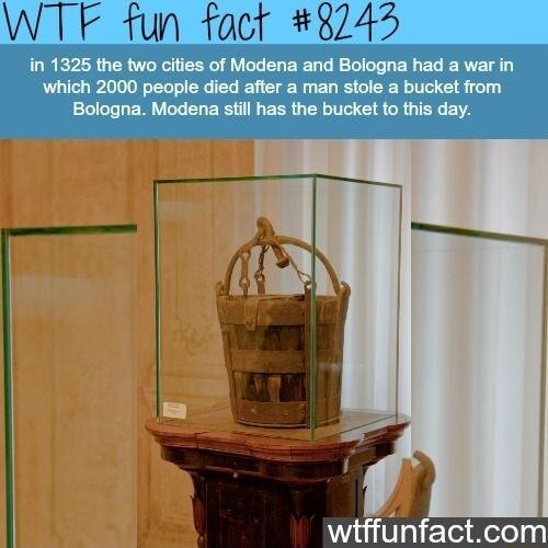 WTF fun foct 8745