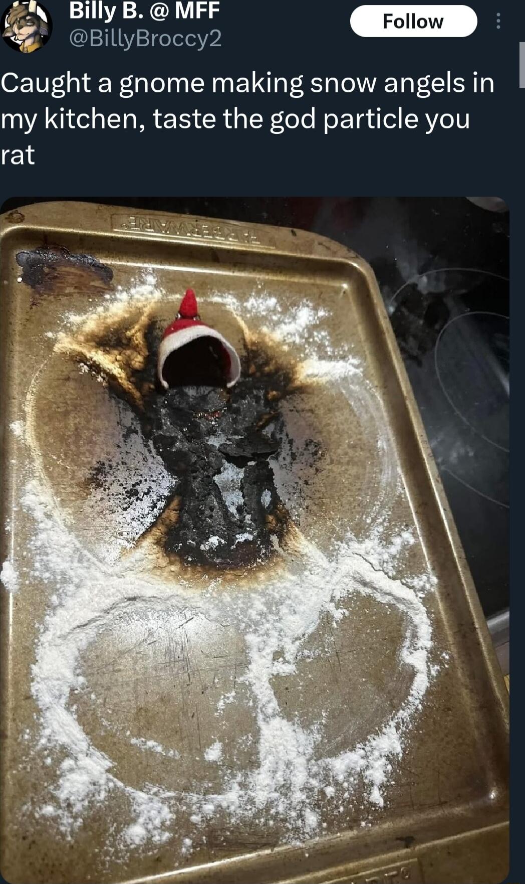 Billy B MFF BillyBroccy2 m Caught a gnome making snow angels in I my kitchen taste the god particle you 18