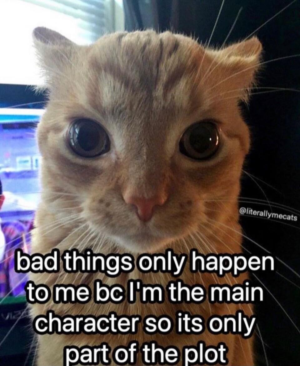 lymecats bad thlngs only happen tome bc Im the main character so its only B oart of the plot