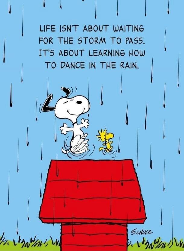 LIFE ISN'T ABOUT WAITING FOR THE STORM TO PASS. IT'S ABOUT LEARNING HOW TO DANCE IN THE RAIN. SCHULZ