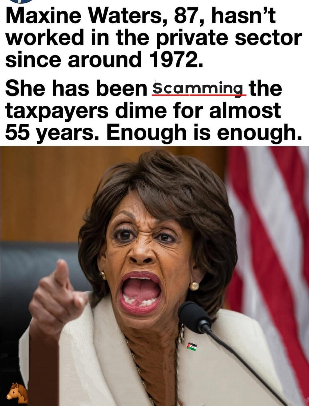 Maxine Waters, 87, hasn't worked in the private sector since around 1972. She has been scamming the taxpayers dime for almost 55 years. Enough is enough.
