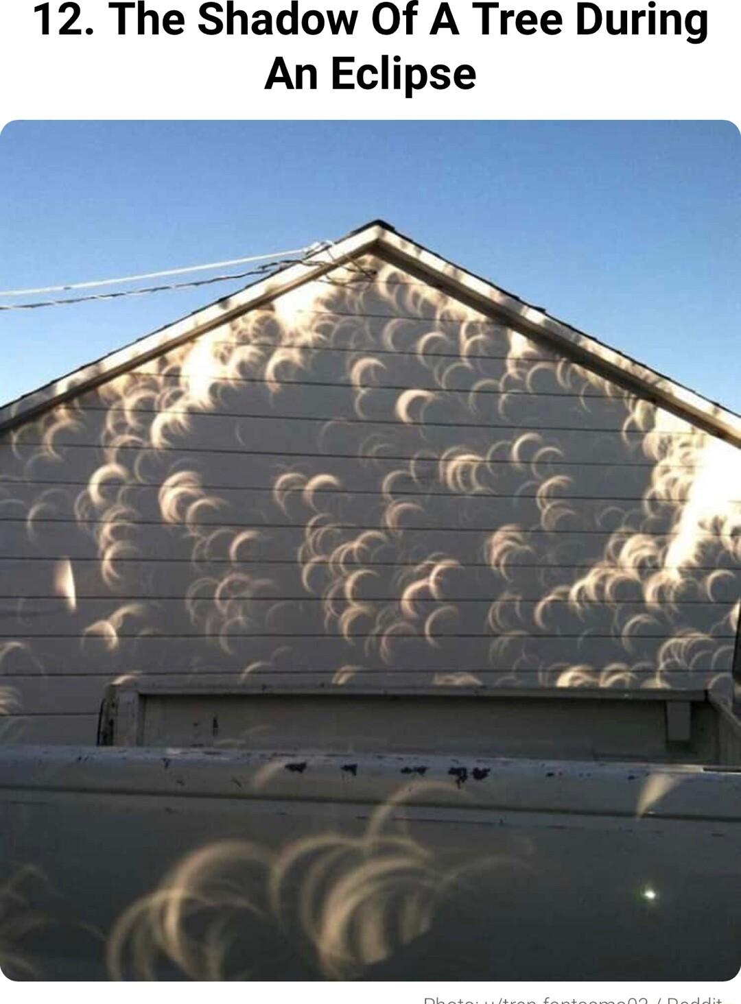12 The Shadow Of A Tree During An Eclipse