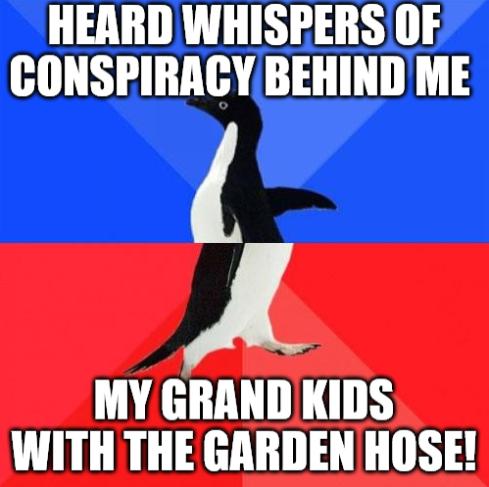HEARD WHISPERS OF CONSPIRACYBEHIND ME A MY GRAND KIDS WITH THE GARDEN HOSE