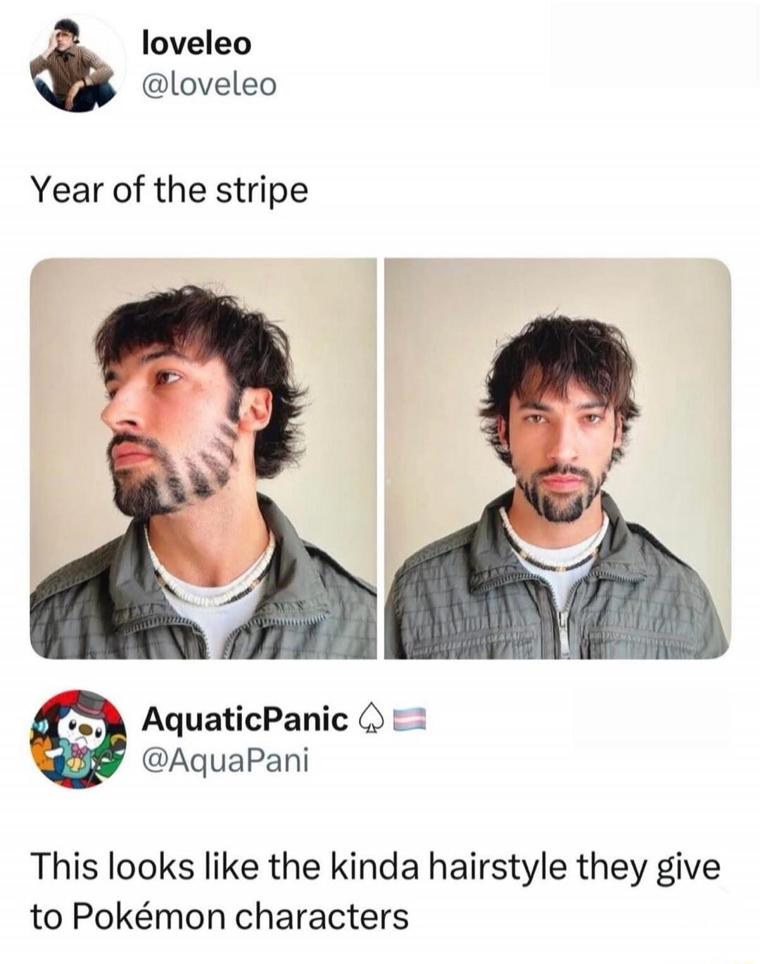 Year of the stripe\nThis looks like the kinda hairstyle they give to Pokémon characters