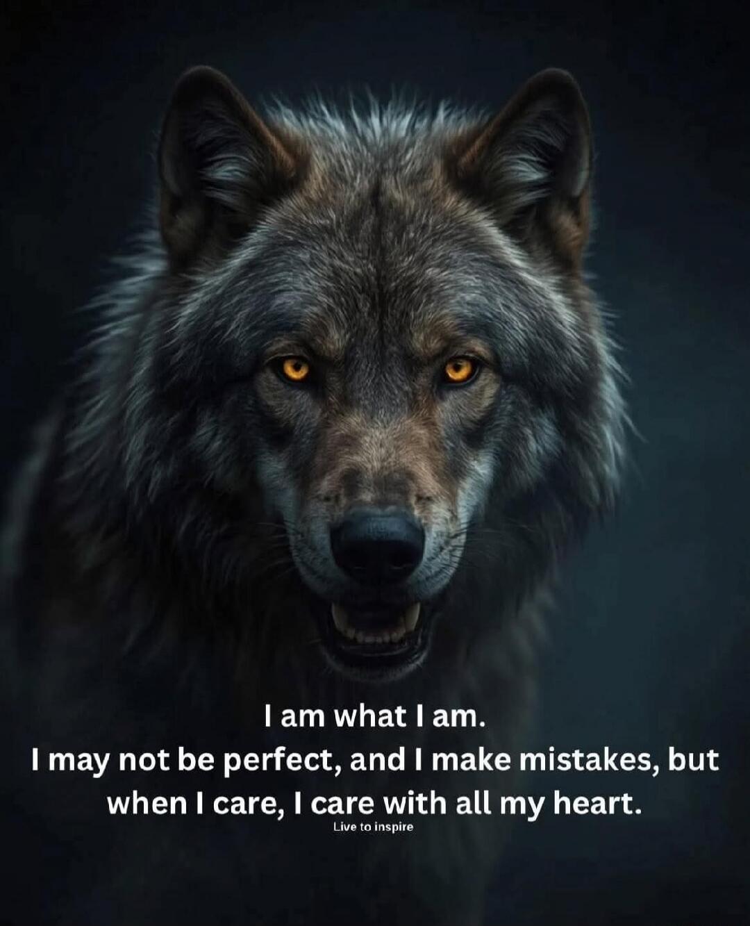 I am what I am. I may not be perfect, and I make mistakes, but when I care, I care with all my heart. Live to inspire