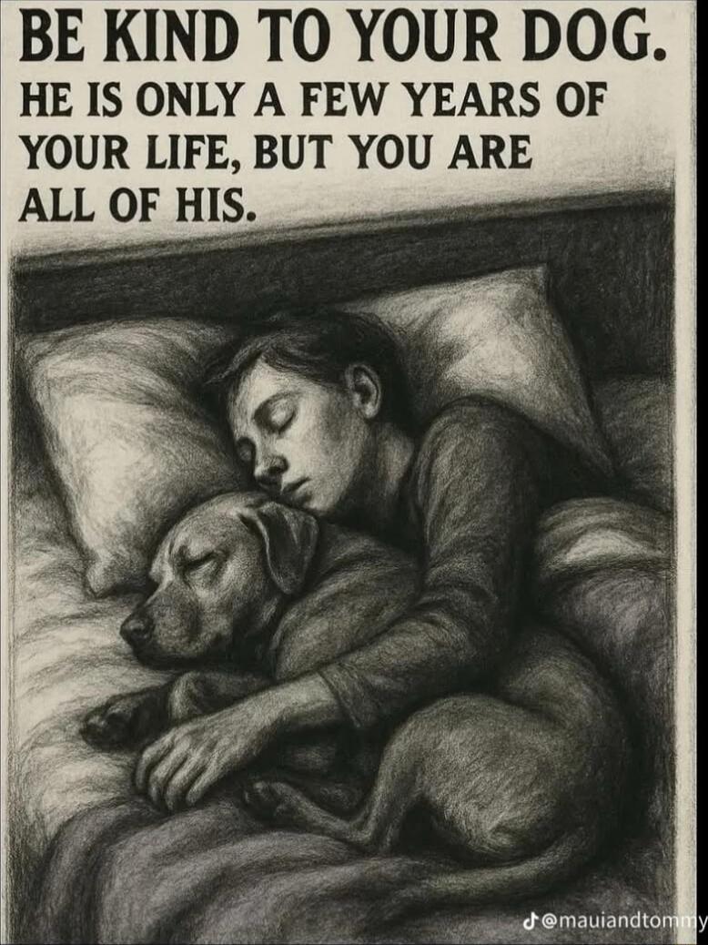 BE KIND TO YOUR DOG. HE IS ONLY A FEW YEARS OF YOUR LIFE, BUT YOU ARE ALL OF HIS.