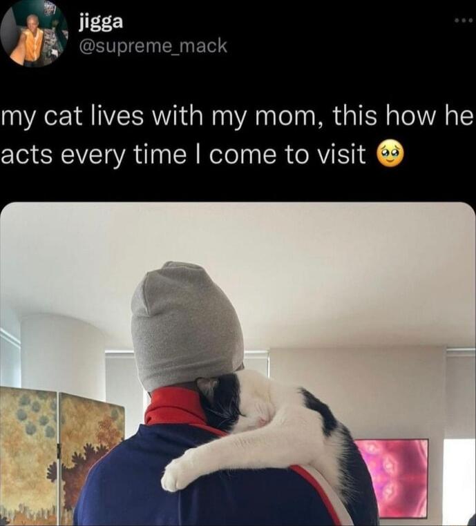 R my cat lives with my mom this how he acts every time come to visit