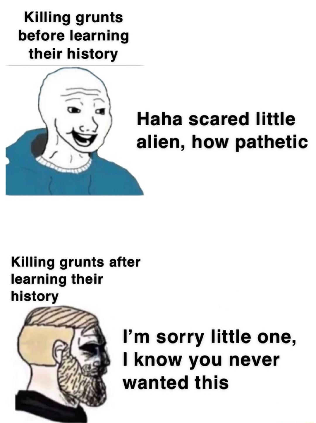 Killing grunts before learning their history Haha scared little alien how pathetic Killing grunts after learning their history Im sorry little one know you never wanted this