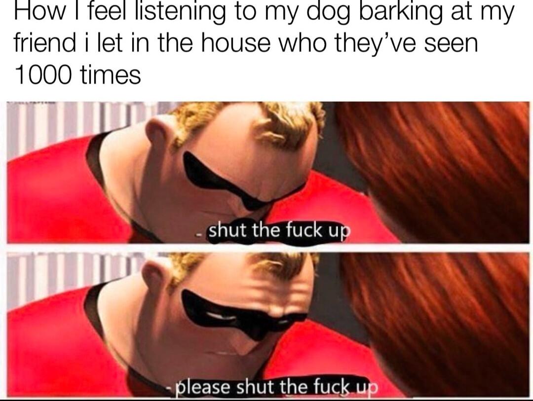 ow Teel listening to my dog barking at my friend i let in the house who theyve seen 1000 times please shut the fuck up