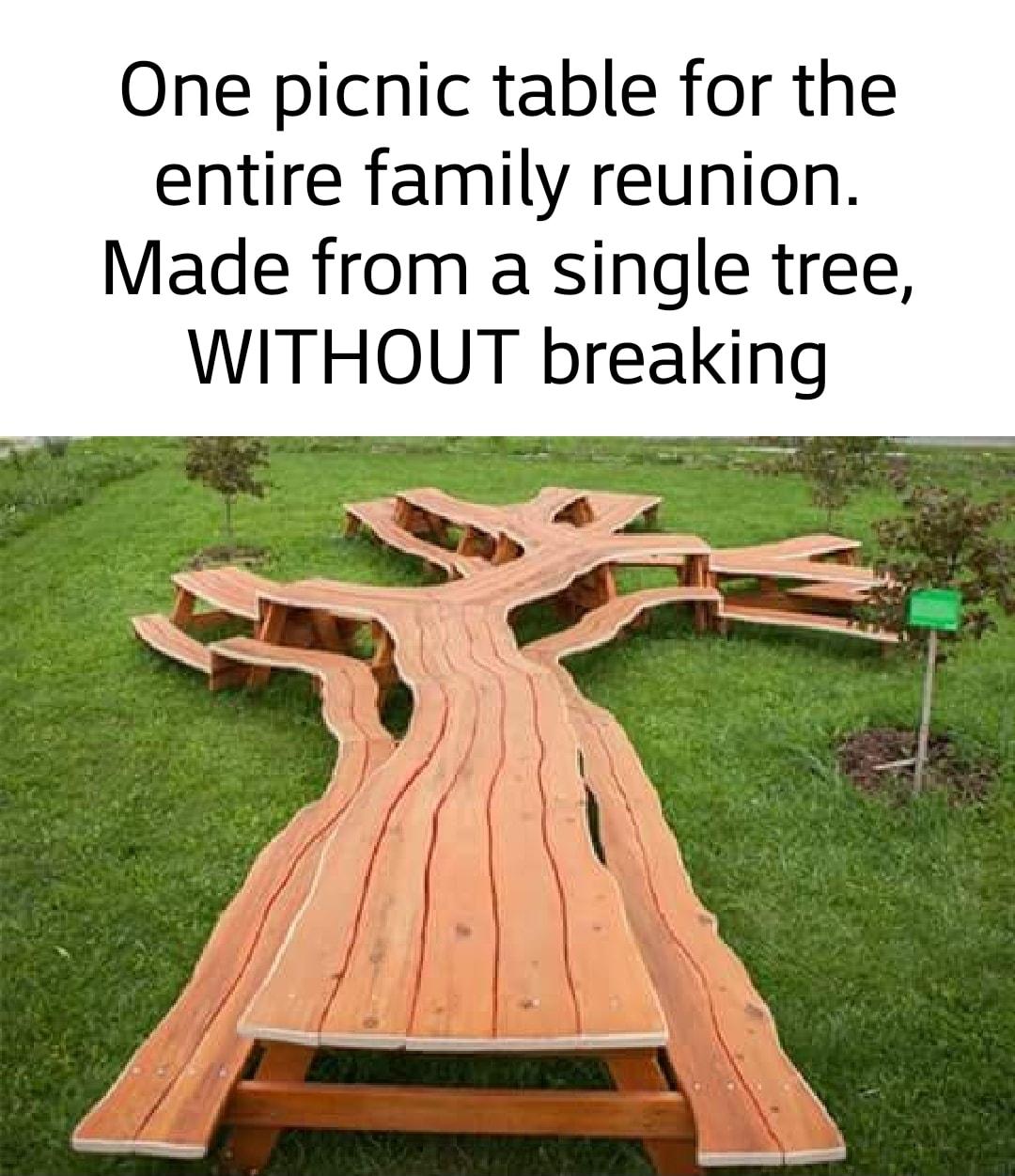 One picnic table for the entire family reunion Made from a single tree WITHOUT breaking